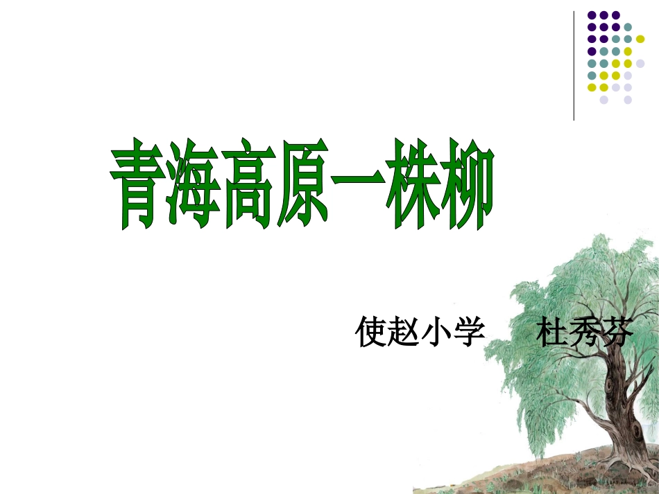 《青海高原一株柳》公开课_第3页