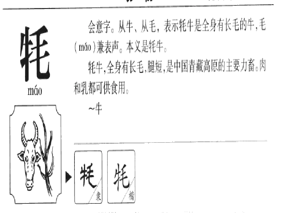 五年级下册第四单元《藏羚羊的跪拜》_第2页