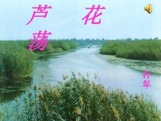 《芦花荡》公开课课件