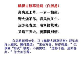 《琵琶行》第一第二课时