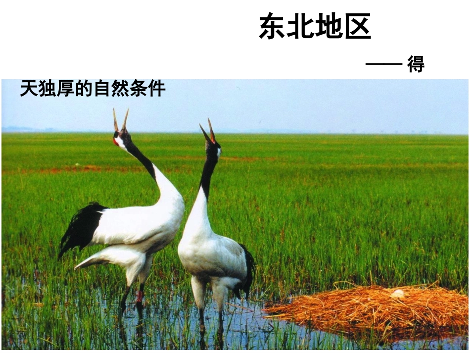 东北地区——得天独厚的自然条件_第2页