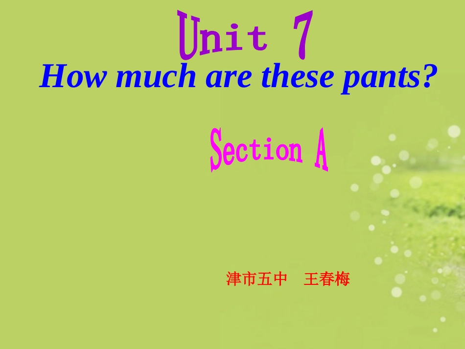 七年级英语上册_Unit7_How_much_are_these_socks课件_第1页