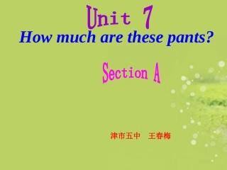 七年级英语上册_Unit7_How_much_are_these_socks课件