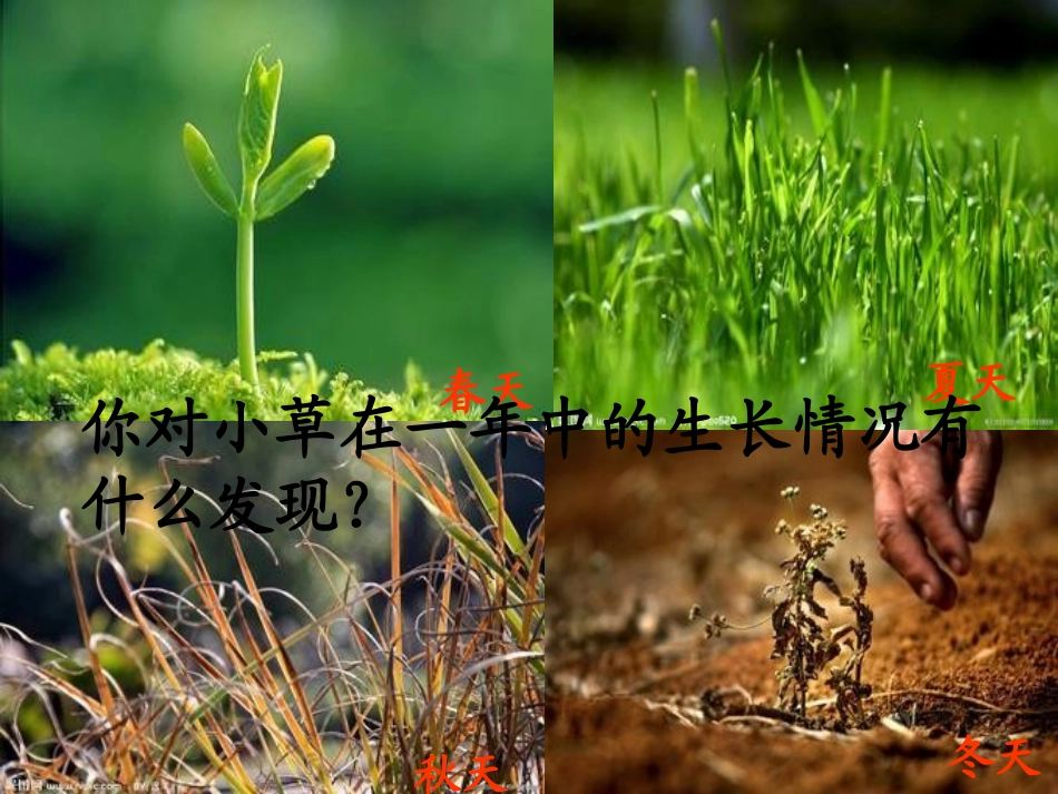 二年级下册古诗《草》_第3页