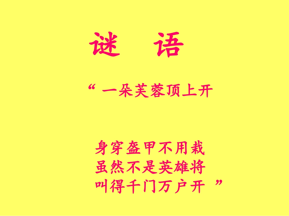 神奇的大公鸡 (2)_第1页