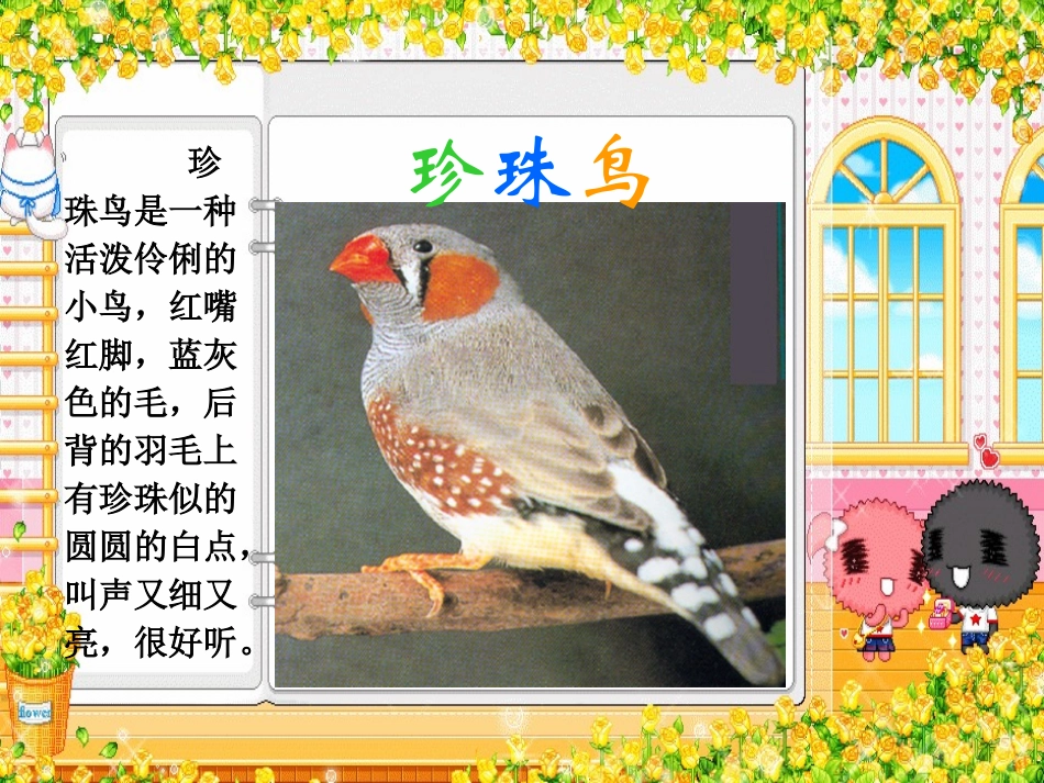 珍珠鸟 (2)_第1页