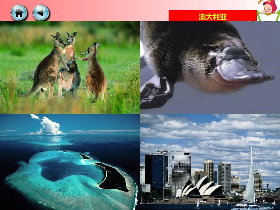澳大利亚课件 (2)_第3页