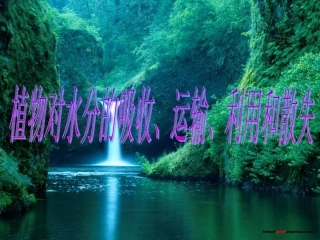 植物对水分的吸收、运输、利用和散失