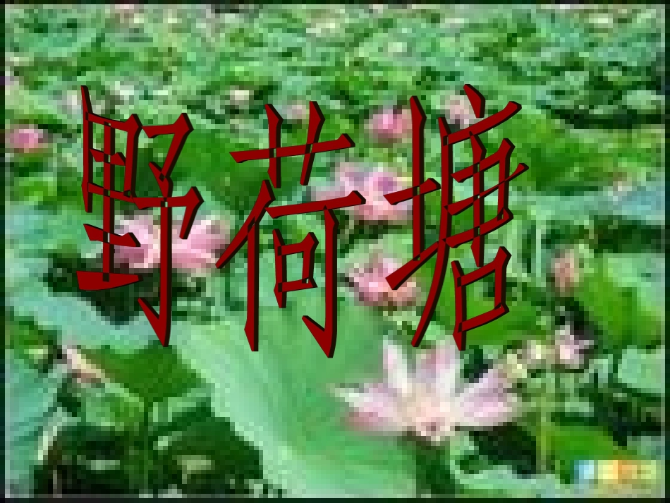 长春版四年级下册语文--野荷塘 (2)_第1页