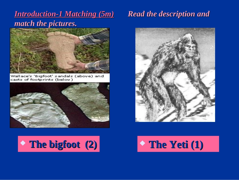 必修四module6introductionandreading_第3页