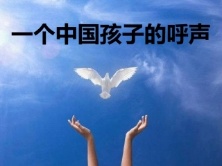 一个中国孩子的呼声 (2)