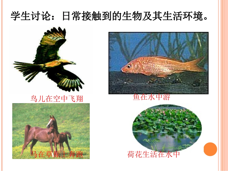 七年级上册11形形色色的生物(课堂教学）_第3页