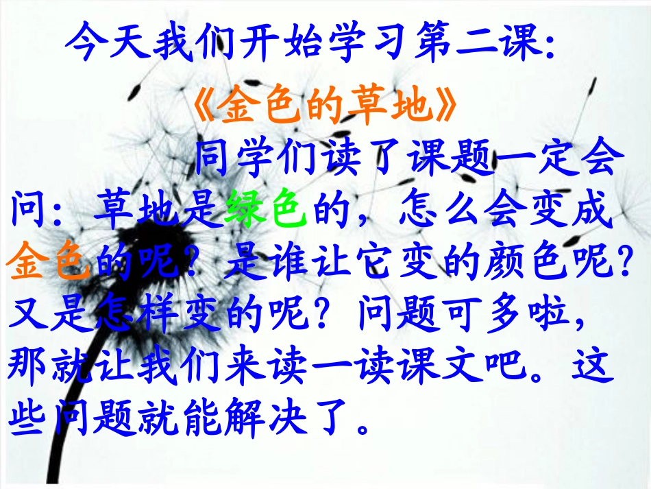 《金色的草地》教学课件1_第2页