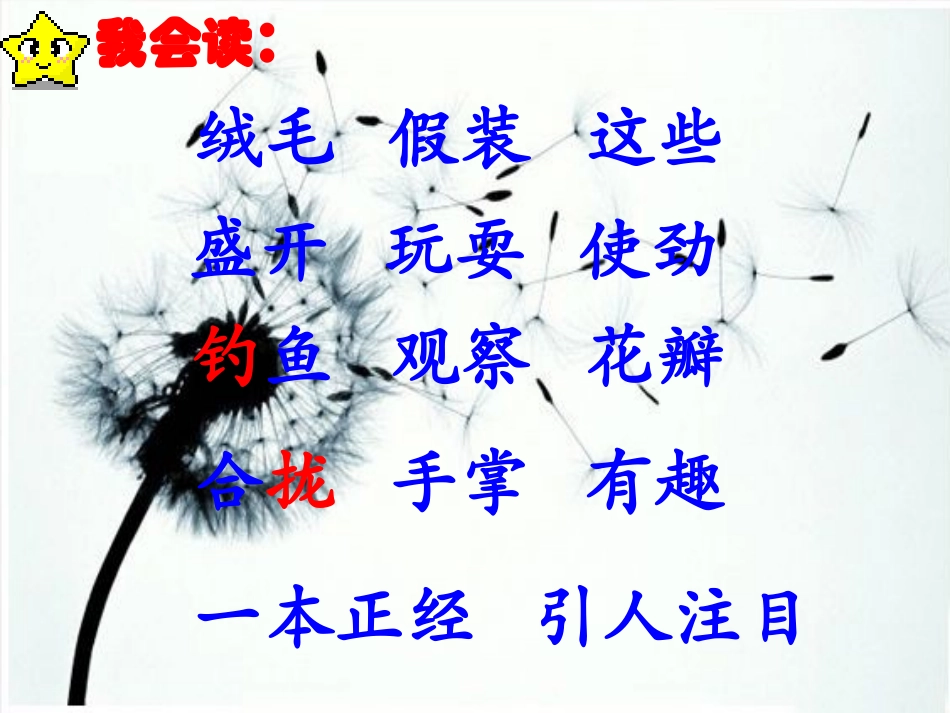 《金色的草地》教学课件1_第3页