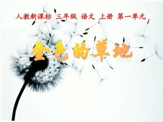 《金色的草地》教学课件1