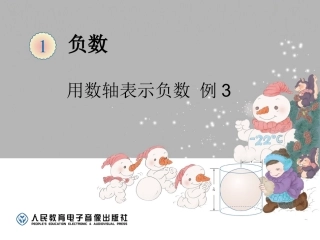 负数（例3） (3)