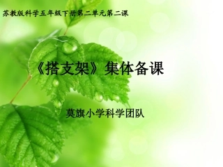 苏教版科学三年级下册搭支架集体备课