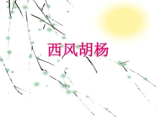 《西风胡杨》课件(语文S版五年级语文上册课件)