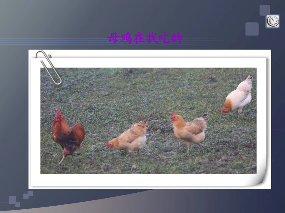 四年级语文上册——16母鸡_第2页