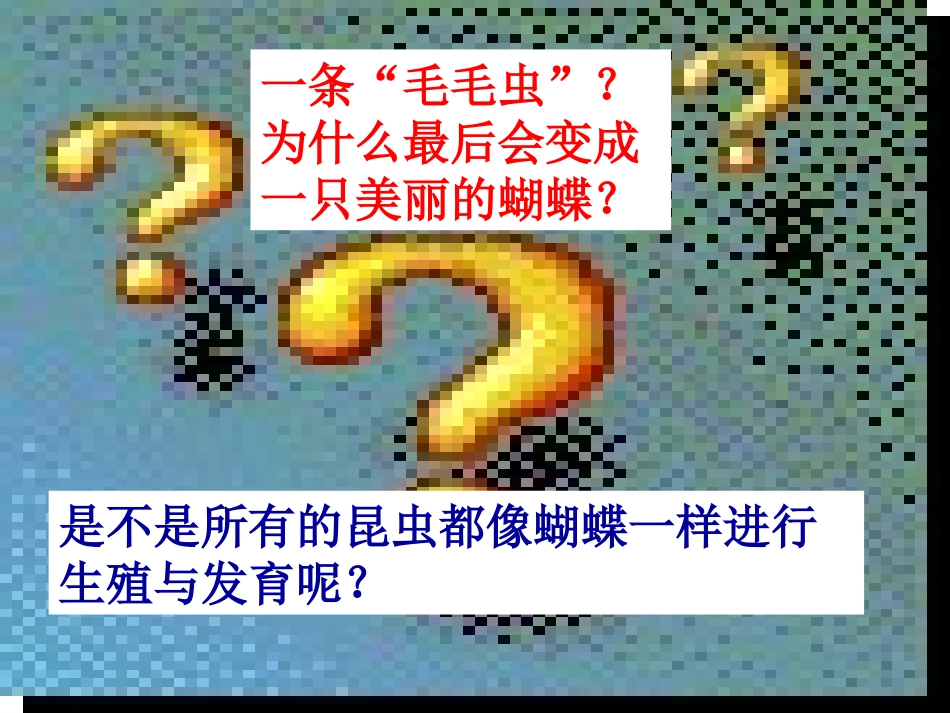 昆虫的生殖和发育 (3)_第3页