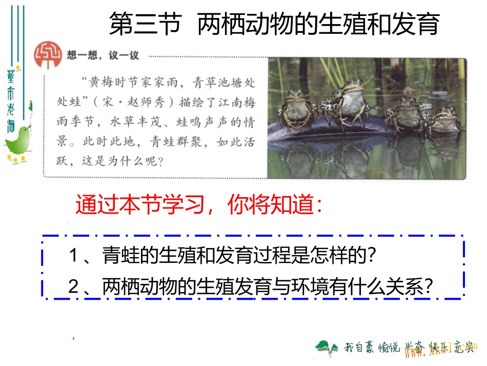生物两栖动物的生殖PPT_第1页