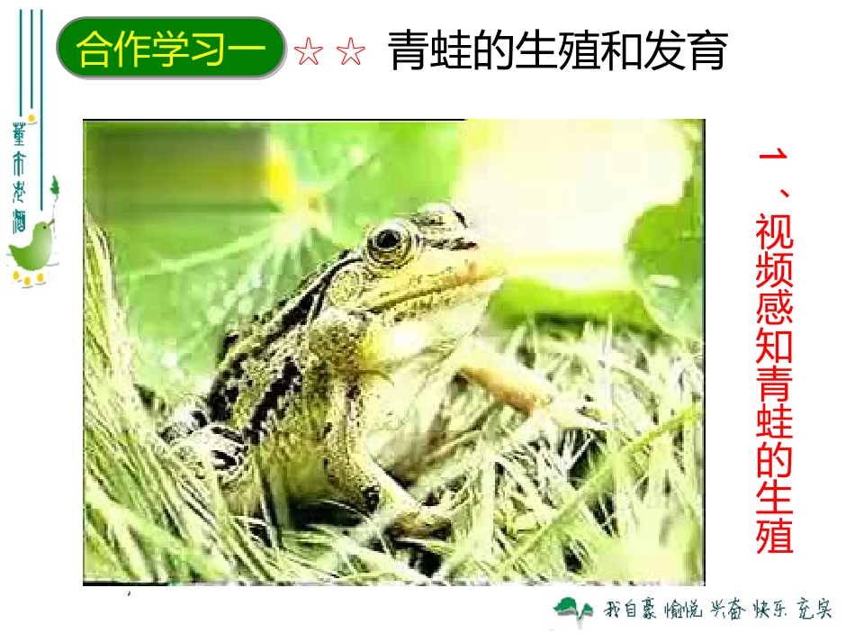 生物两栖动物的生殖PPT_第3页