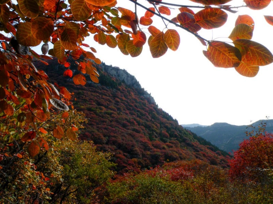 《小乌鸦爱妈妈》课件_第3页