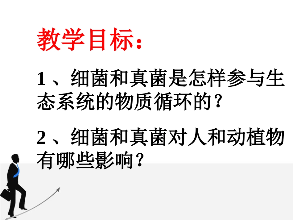 细菌和真菌在自然界中的作用,课件_第2页