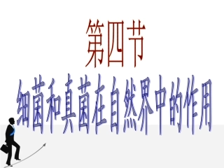 细菌和真菌在自然界中的作用,课件