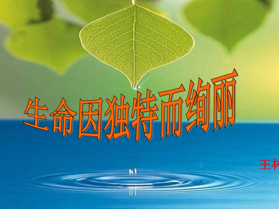 生命因独特而绚丽_第1页