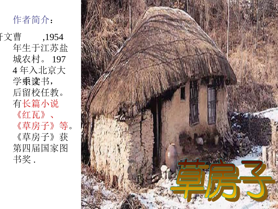 《孤独之旅》课件公开课 (2)_第2页