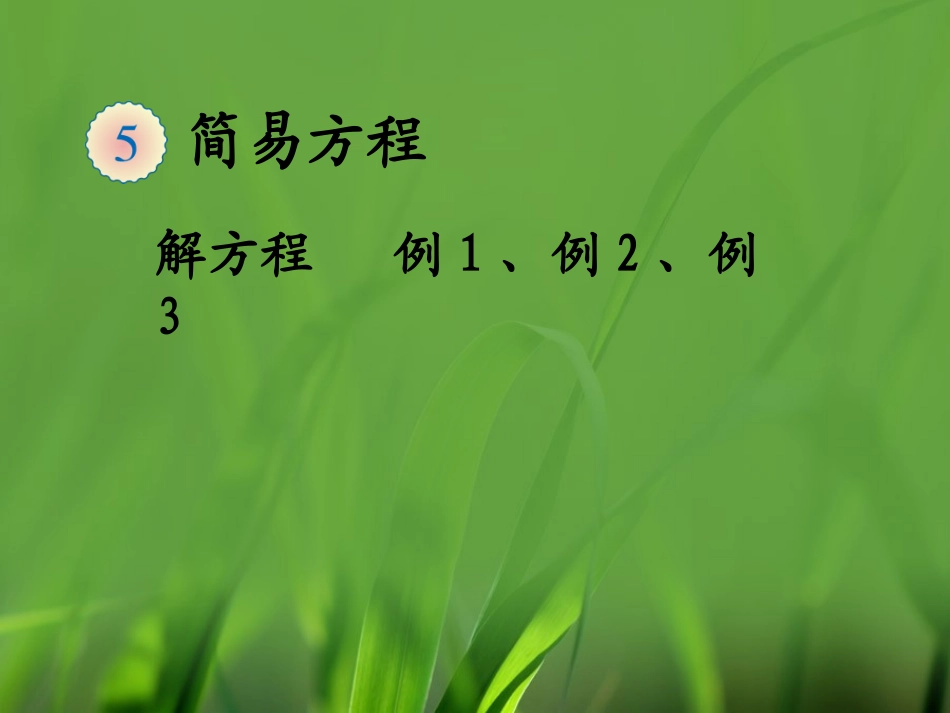 《解方程（例1、例2、例3）》教学课件_第1页