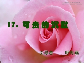 《17可贵的沉默》PPT