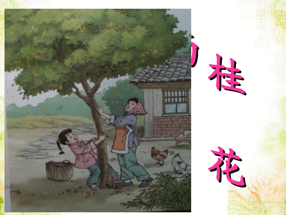 《桂花雨》课件4_第2页