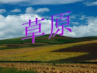 小学五年级语文下册《草原》