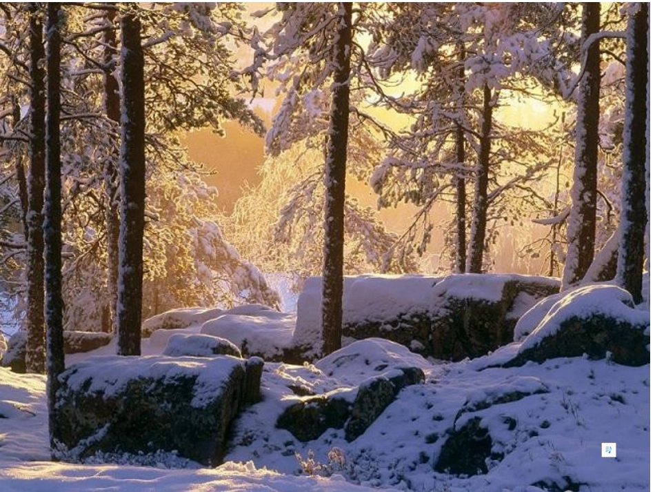 鲁迅《雪》课件 (5)_第2页