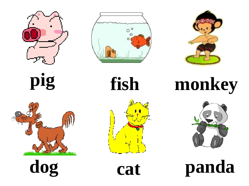 Animals有关动物教学的课件_第2页