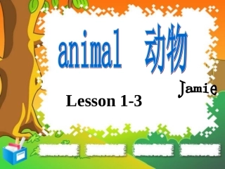 Animals有关动物教学的课件
