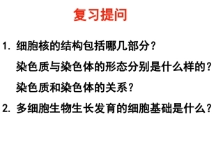 《细胞的增殖》45张