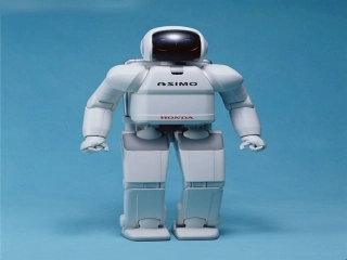 《大脑》PPT课件