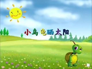 《小乌龟晒太阳》