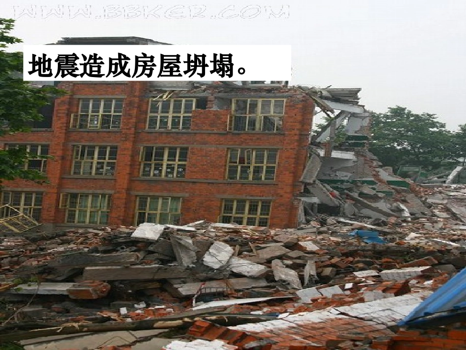 《地震中的父与子》教学课件 (2)_第3页