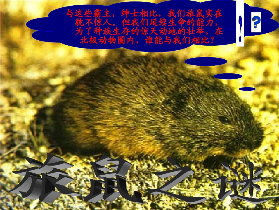 《旅鼠之谜》 (3)_第1页