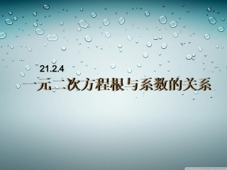 2124一元二次方程的根与系数的关系-副本