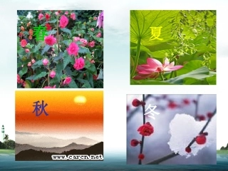 四季 (3)