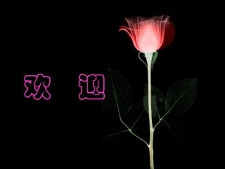 《合成高分子化合物的基本方法》课件1