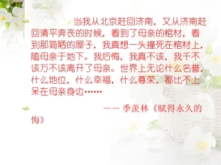 《怀念母亲》课件 (2)
