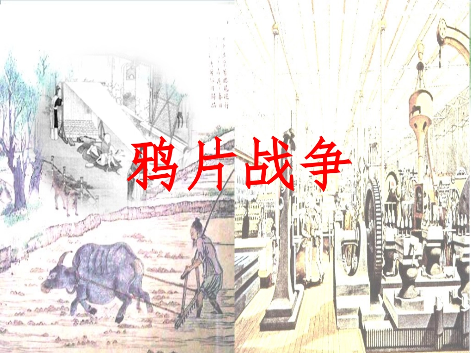 必修一复习课件第10课鸦片战争_第3页