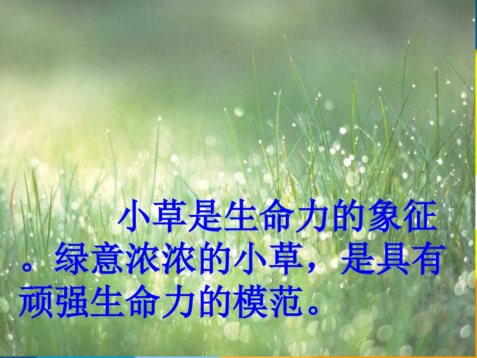 鸡蛋浮上来了_课件_第3页