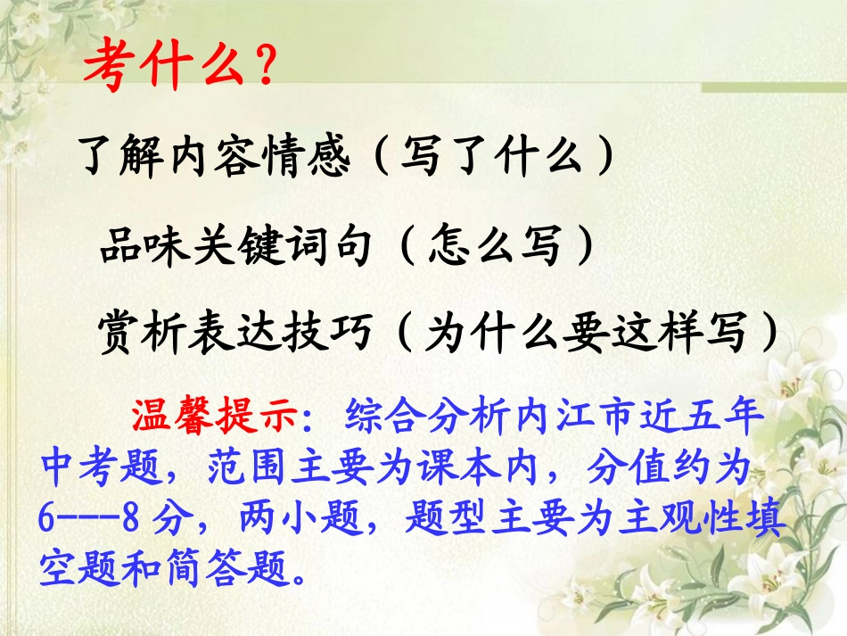 2017新诗歌鉴赏复习z_第2页